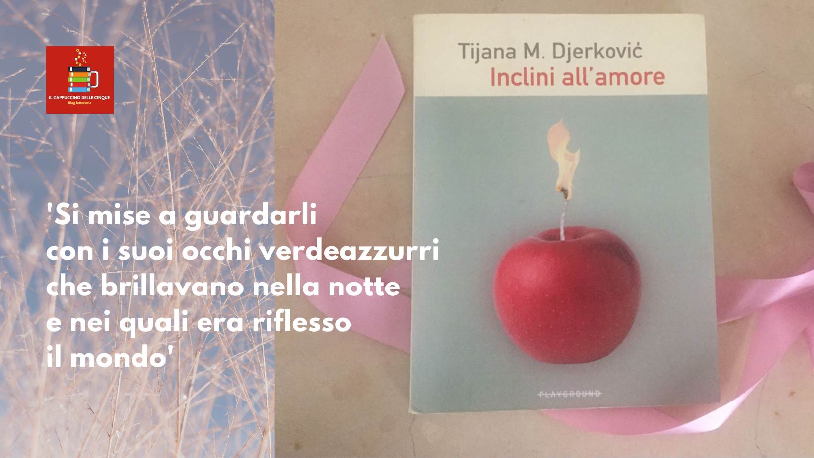 Recensione 'Inclini all’amore' di Tijana M. Djerković 